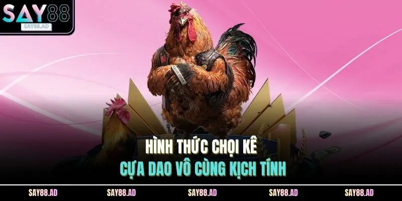 Đá Gà SAY88 3 Hình thức chọi kê cựa dao vô cùng kịch tính
