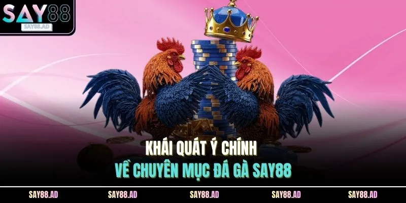 Đá Gà SAY88 1 Khái quát ý chính về chuyên mục đá gà SAY88