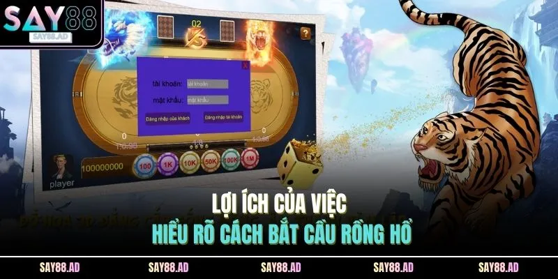 Lợi ích của việc hiểu rõ cách bắt cầu rồng hổ