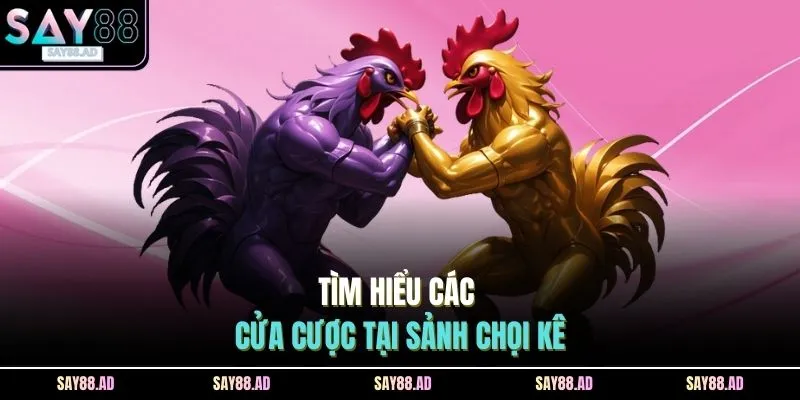 Đá Gà SAY88 2 Tìm hiểu các cửa cược tại sảnh chọi kê